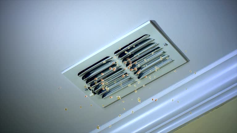 Air Duct Mold Removal in Newark, IL