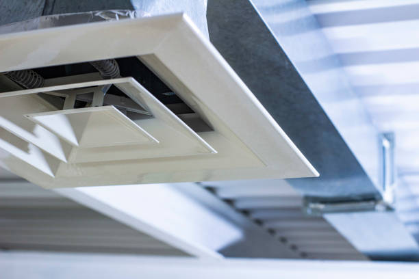 Best HVAC System Cleaning  in Newark, IL