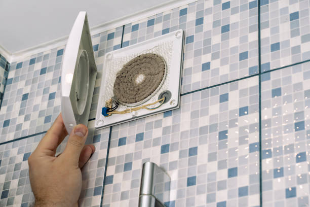 Best Ductwork Cleaning Services  in Newark, IL