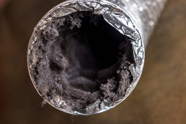 Best General Air Duct Cleaning  in Newark, IL