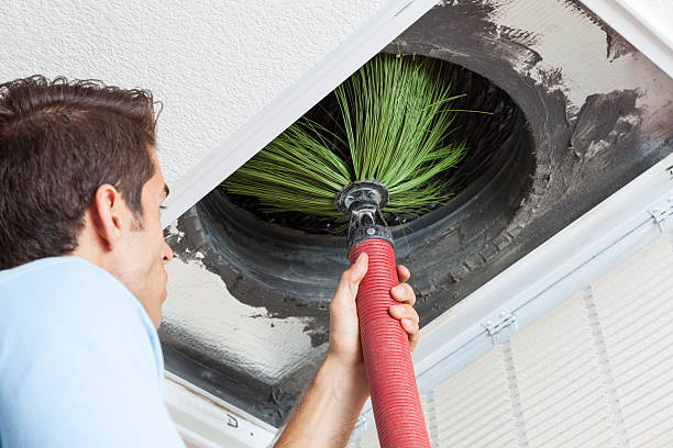 Best Air Duct Mold Removal  in Newark, IL